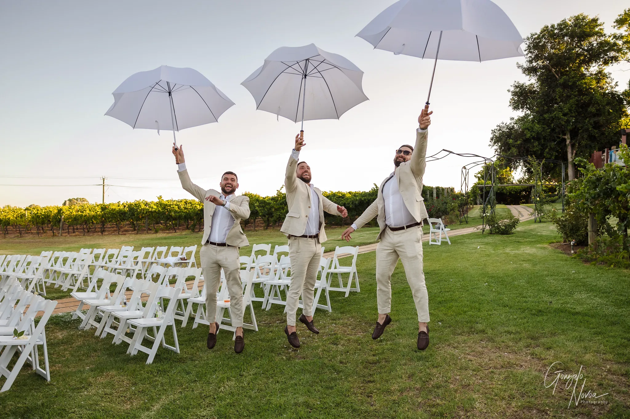 Three groomsmen in light suits jumping and holding white umbrellas, laughing in front of vineyard rows with white ceremony chairs scattered on green grass