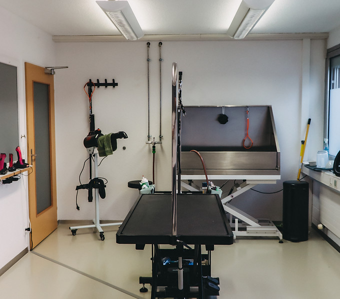 Hundesalon DogArt Sursee