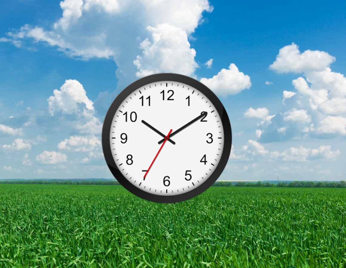 clock in field
