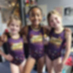 three young female gymnasts wearing a purple and gold golden ticket leotard