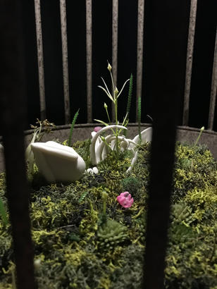 The Canary is Long Dead