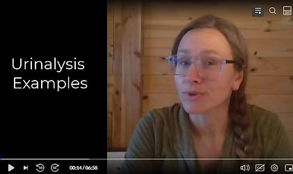Urinalysis Examples.jpg