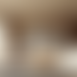 Proyectos contemporáneos y eficientes de Toroide Arquitectura