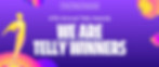 47th Annual Tell Awards - We are telly winners!