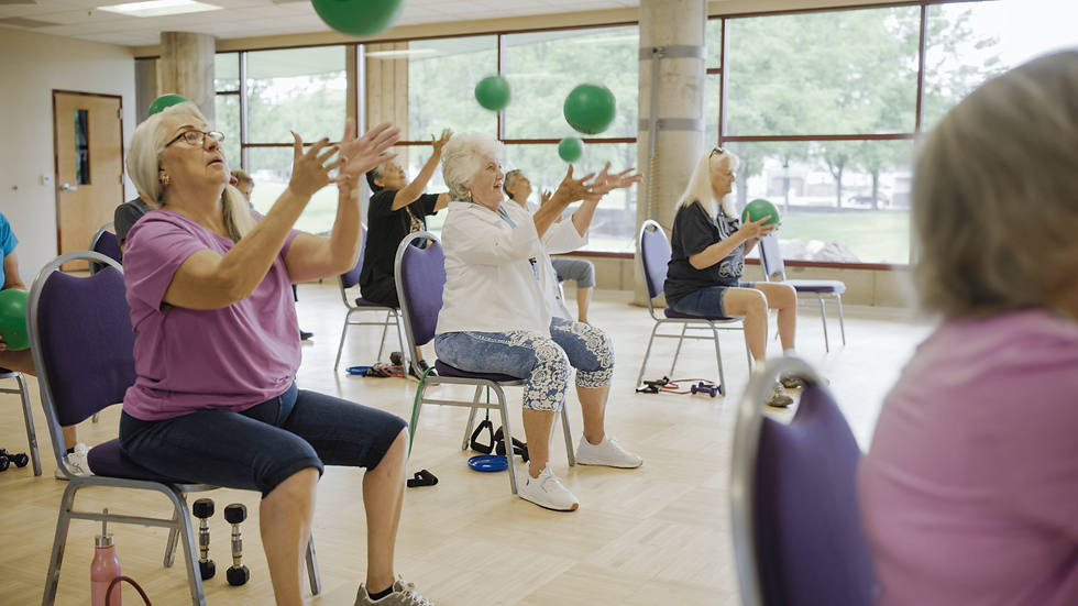 Silver Sneakers-5.png