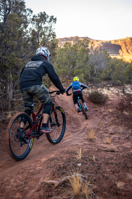 Mountain bikers riding a wooded trail near Vernal, Utah.