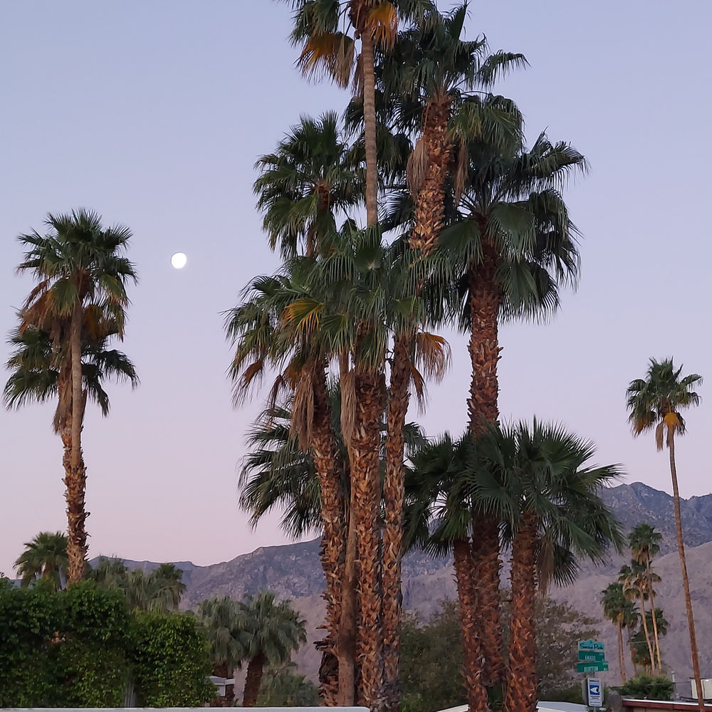 Summer Temperatures Changes Routines of Palm Springs Residents