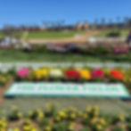 Sign of The Flower Fields surrounded by flowers, visited after getting Travel and Adventure Show tips.