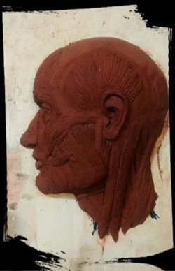 Talleres Arte El Escarabajo