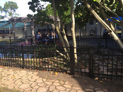 IMG_4276.jpeg