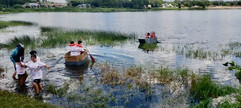 IMG_2011.jpeg