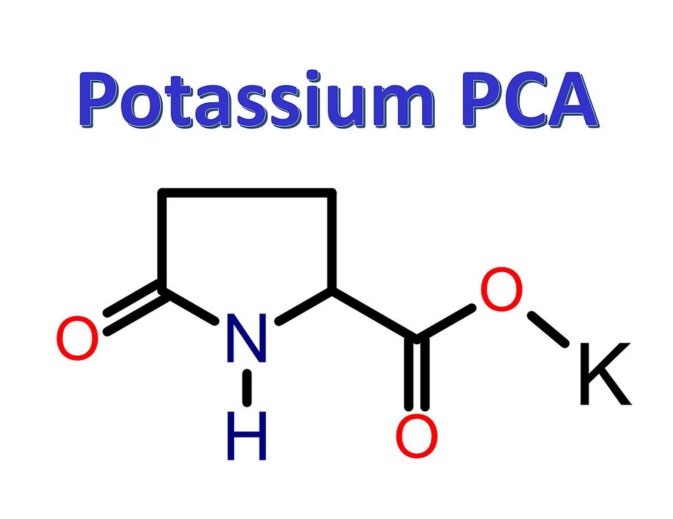 Potassium PCA, CAS 4810-50-8