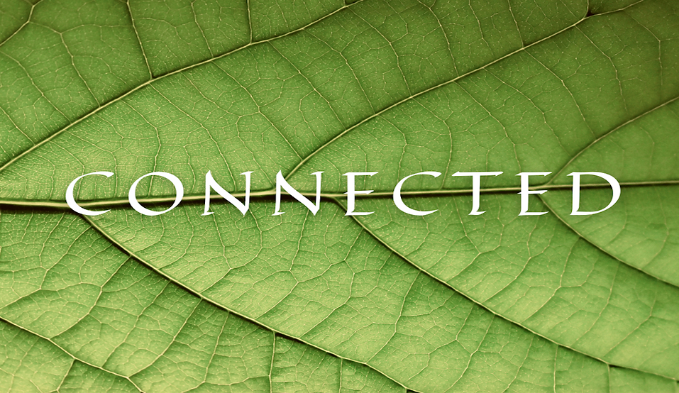 CONNECTED (4).png