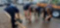 20220728_084439.jpg