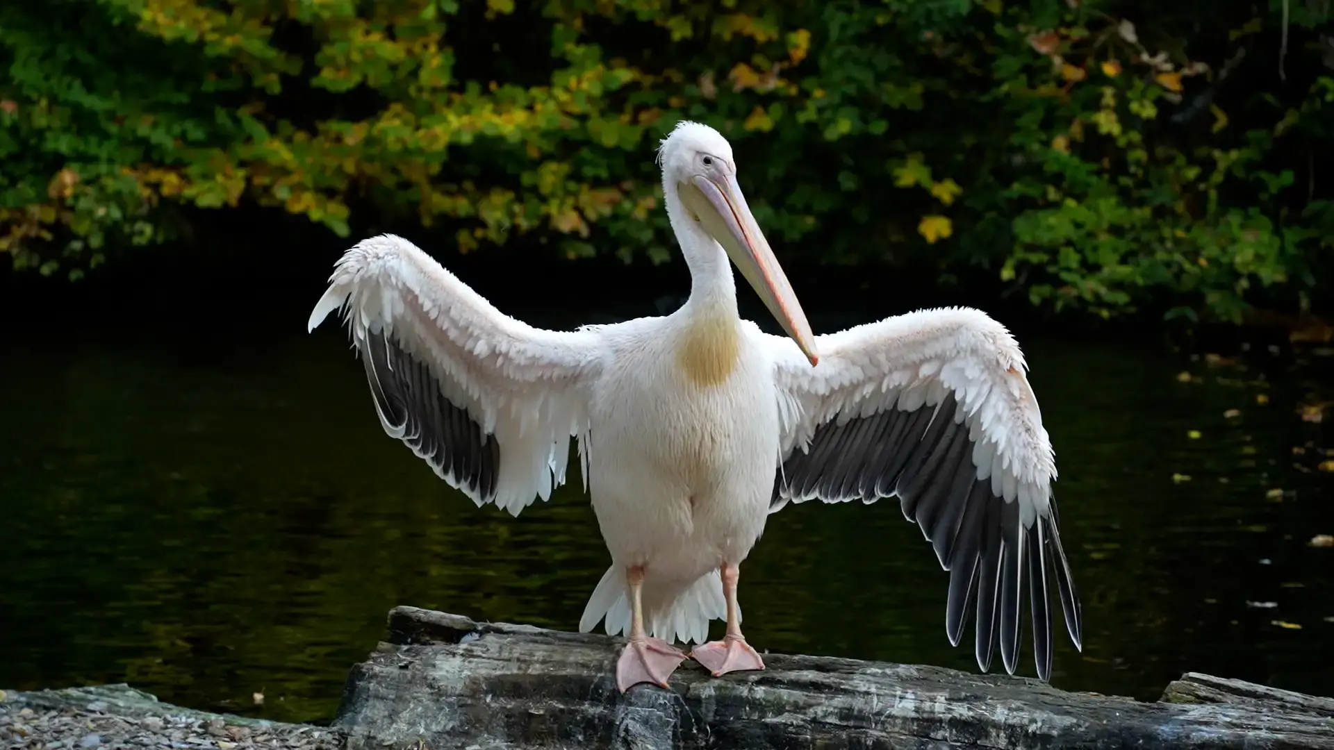 Visit to Hellabrunn Zoo in Munich 