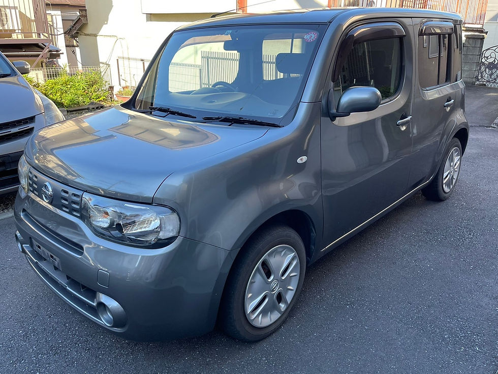 Thumbnail: Nissan Cube 2010 Gray Metallic 
