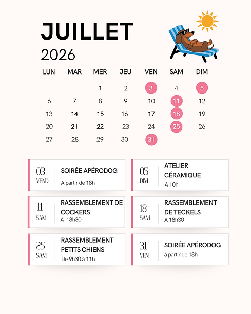 calendrier évènements réseaux.png