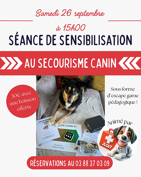 escape game secours canin.png