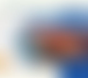 Thuế Nhập Khẩu Ưu Đãi Là Gì?