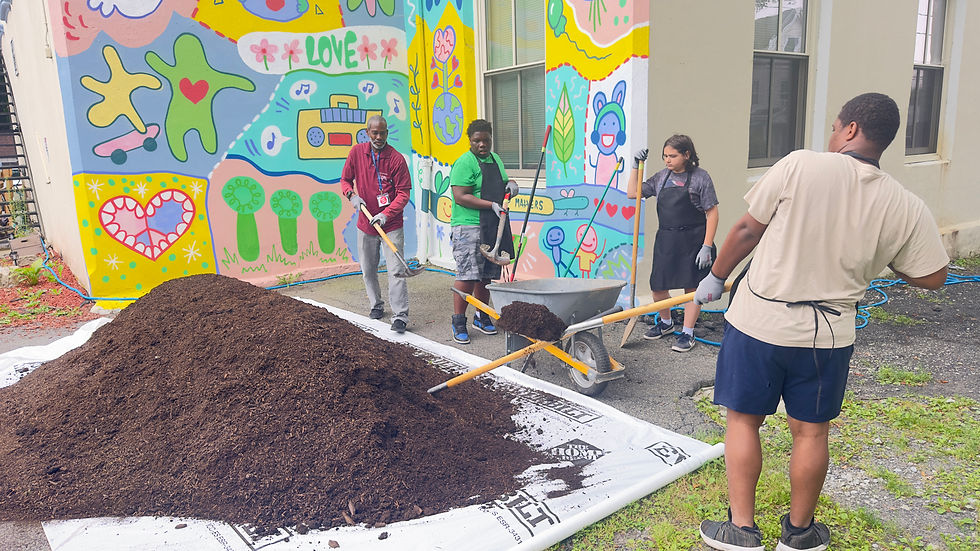 thrive on activities