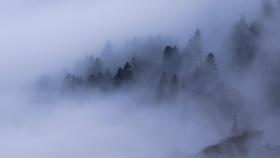 Photo de montagne et de forêt dans la brume