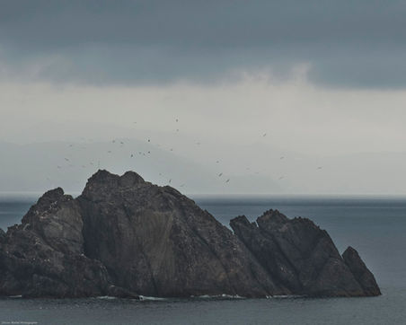 DU CAP DE CREUS À CADAQUES