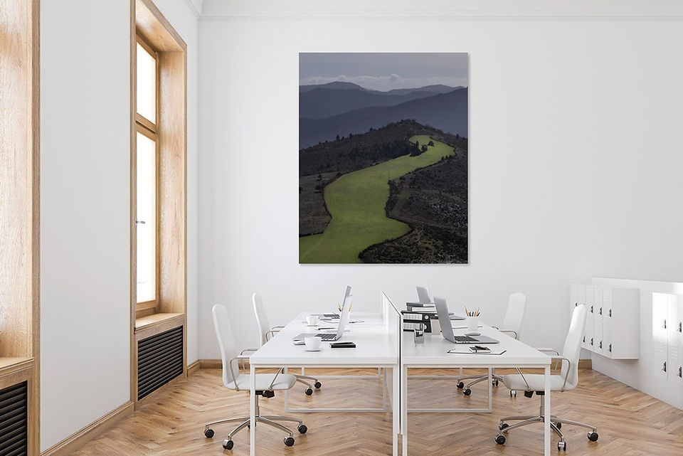 bureaux décoré avec photo de paysage