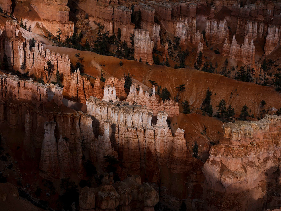 Hoodoos de bryce Canyon au coucher du soleil