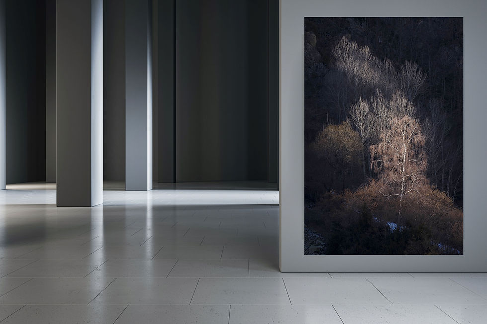 intérieur d'immeuble décoré avec une photo de paysage