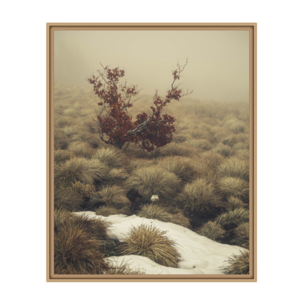 Miniature : TOUPET