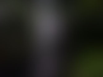 LES INCROYABLES CASCADES DE BALI
