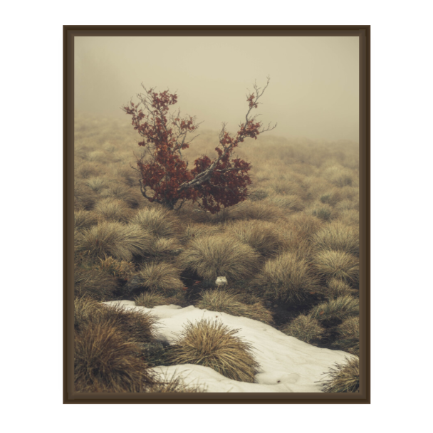 Miniature : TOUPET