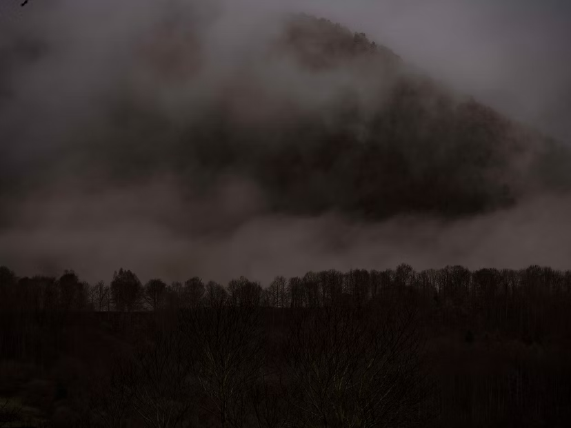 montagne et arbres dans la brume