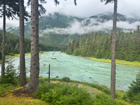Bridge over the Chilkoot River