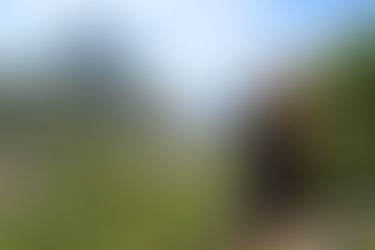 St. Lucia...the beauty of the Pitons are unmatched in the Caribbean! 