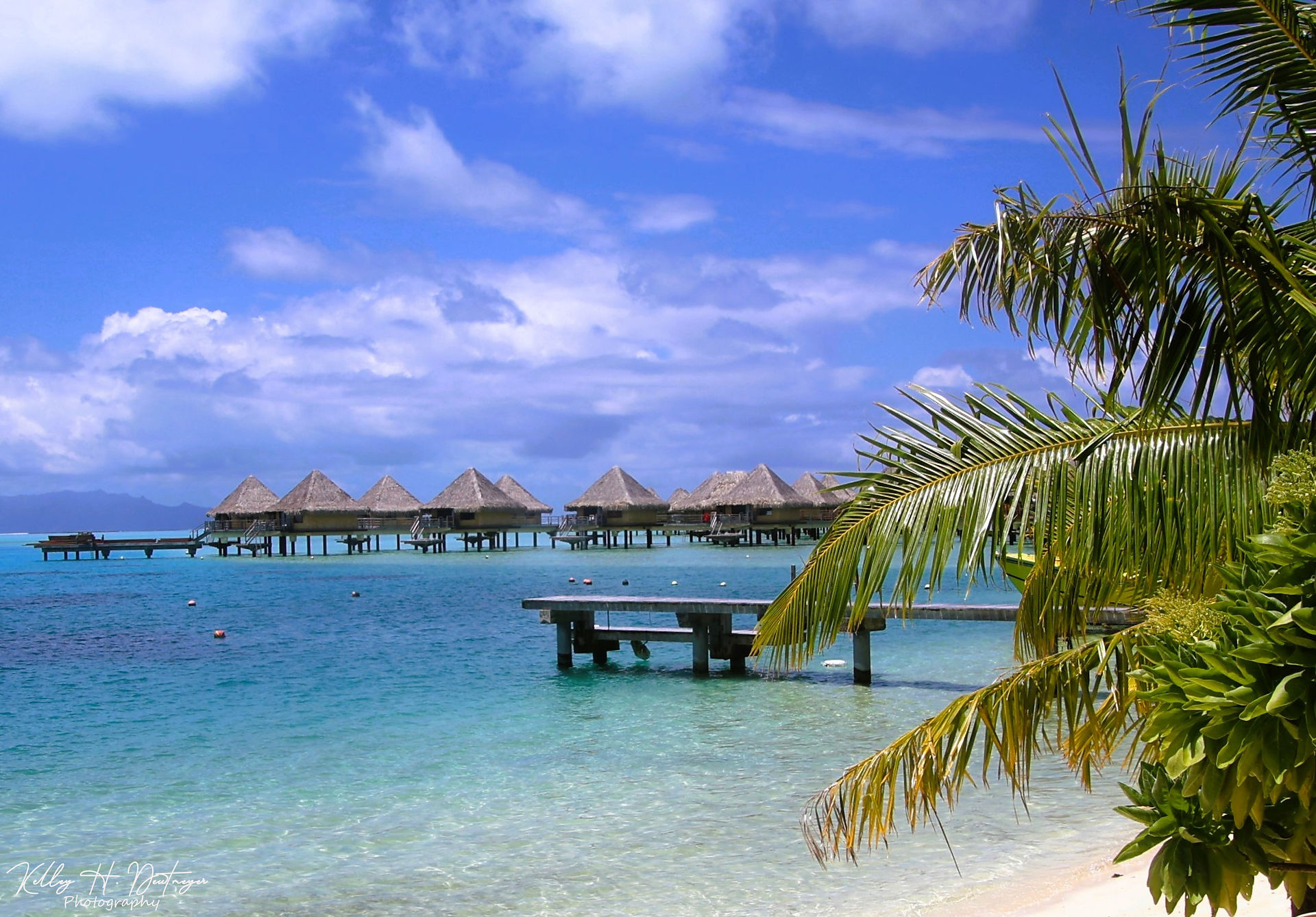 Beach view from beach bungalow