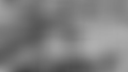 World Backup Your Data Day - 4 Reasons You Should Digitally Store Your Photos