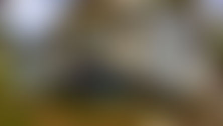 March 31 is World Backup Day