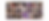 fotos todos.png