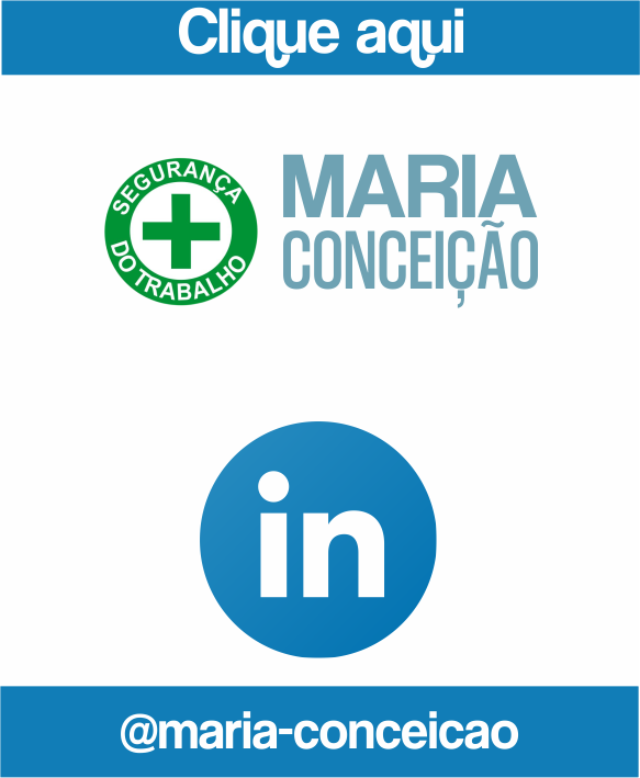 Linkedin Maria Conceição.png