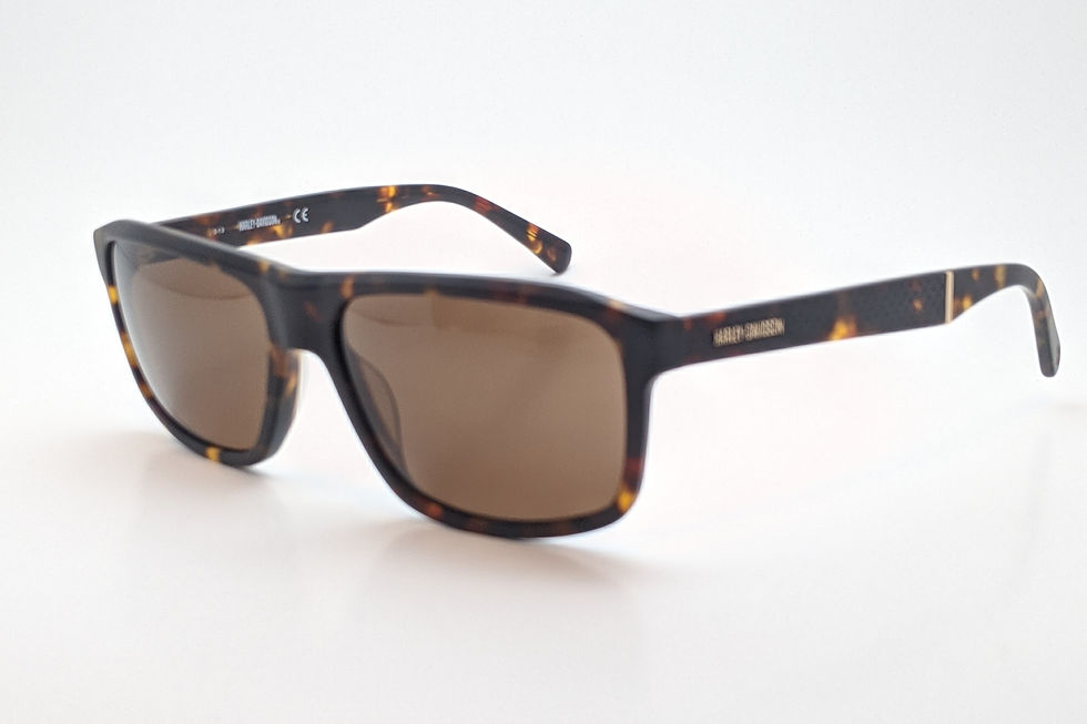 Harley Davidson Sun 0920 Angle view