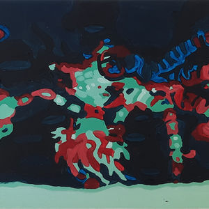 "Commensalism: The Pom Pom Crab"