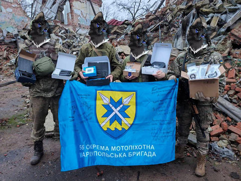 November: A Productive Month