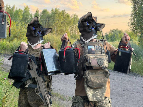 Summer without vacations