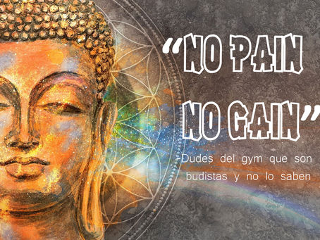 No Pain No Gain