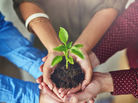 Revitalizing the Learning Journey: Mid-Year Classroom Norms Check-In
