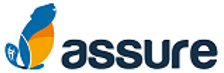 logo_assure IT.png