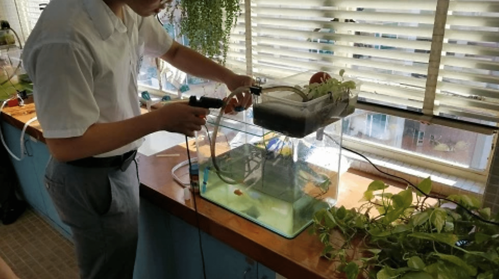 魚菜共生, 魚菜共生課程, FOREST ACADEMY 森 · 學院中學IT創新實驗室 -banner01