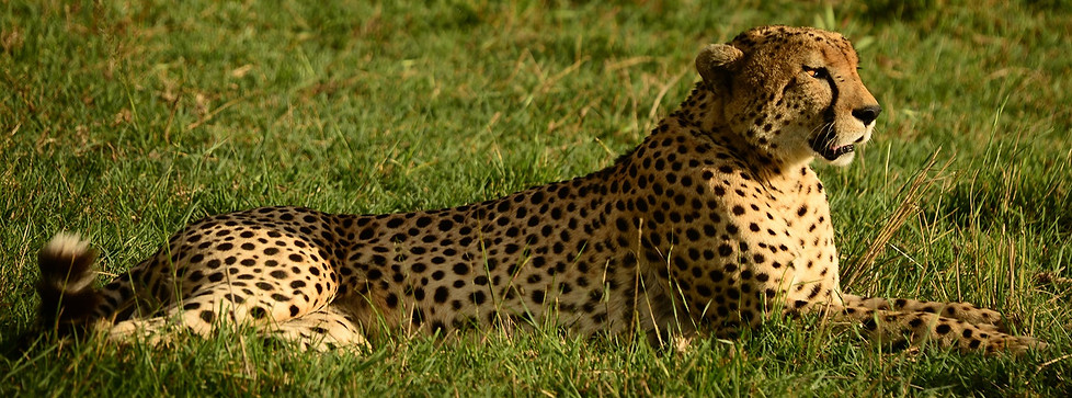DSC_5277_edited.jpg