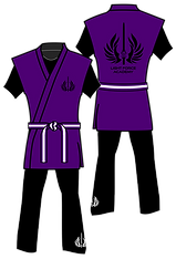 LFA_Sentinel_1.png